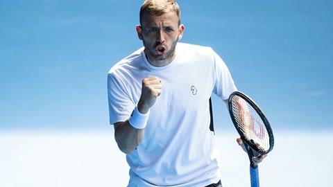 例子是黄蜂 例子是黄蜂