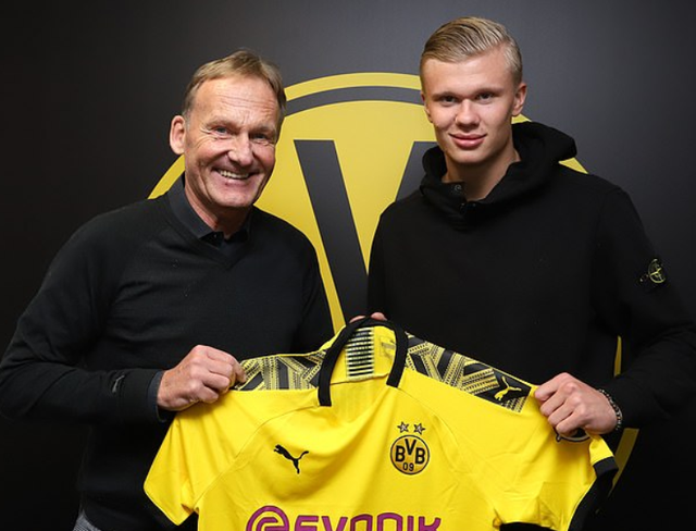 胖孤军奋战 胖孤军奋战